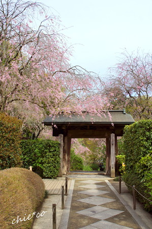 鎌倉-671