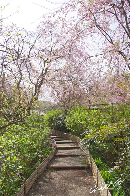 鎌倉-679