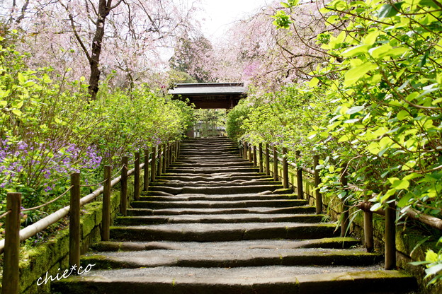 鎌倉-683