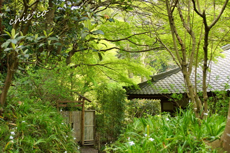 鎌倉-710