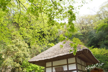 鎌倉-713