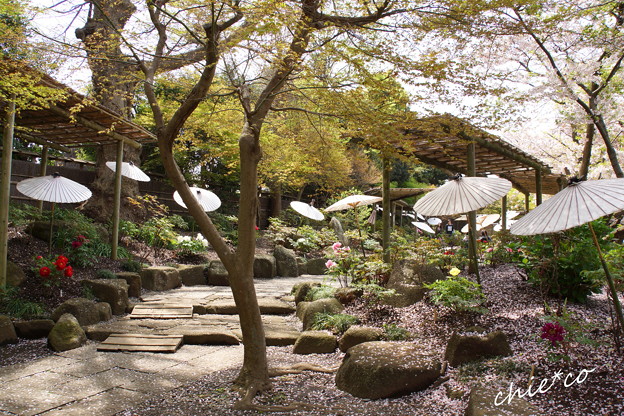 鎌倉-797