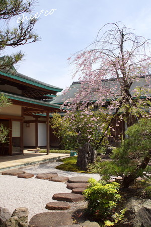 鎌倉-815