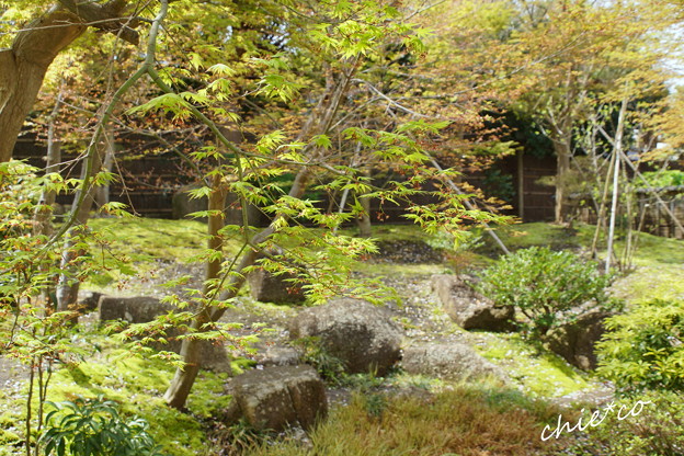 鎌倉-817