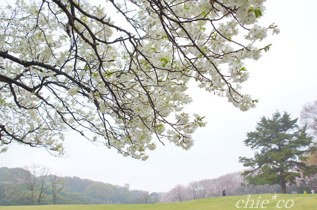 根岸森林公園-093