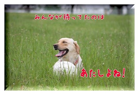 あたしよね