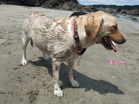 ふぅ~