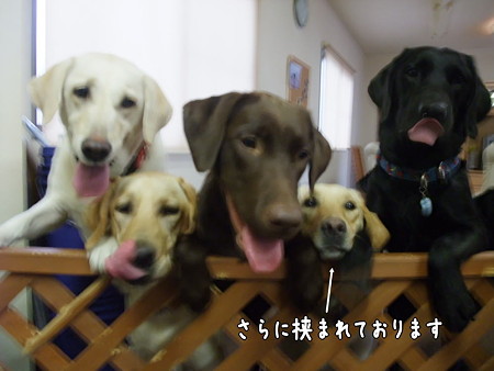 さらに