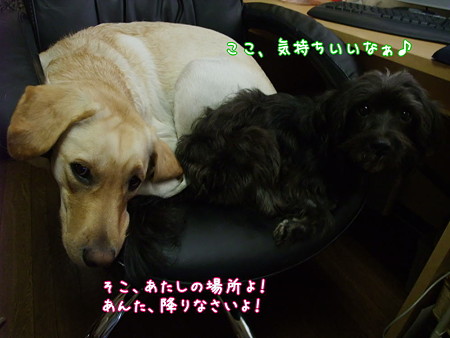 取り合い