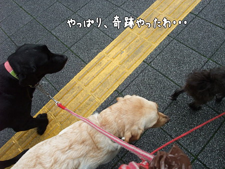 やっぱり・・・