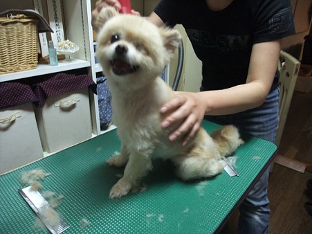 本当に愛嬌一杯で