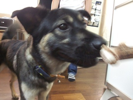 こんな子おったっけか??
