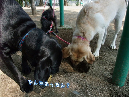 なにかあった?
