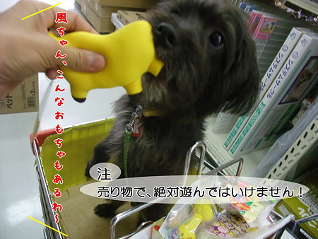 おもちゃ