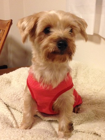 Hannah_IMG_0458