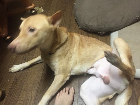 はい、皆さんにご披露して♪