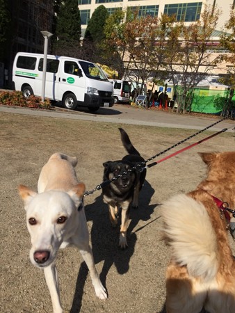 やっぱり~~!