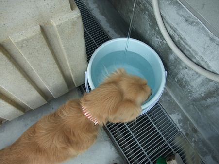 のど渇いてたんやね