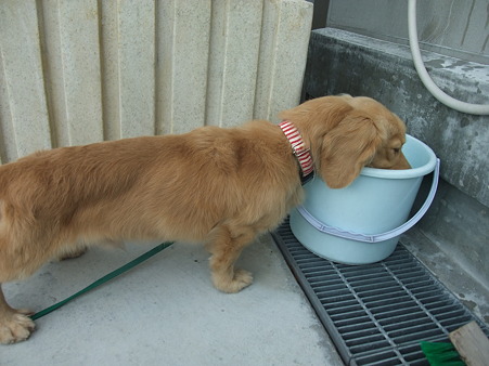 お水どうぞ