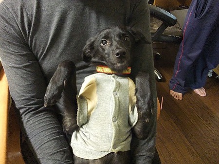 ヘロヘロ・・・