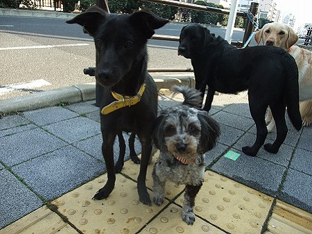 こんなに大きさ違うんや!