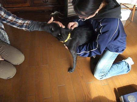 お母さんもこんちにわ