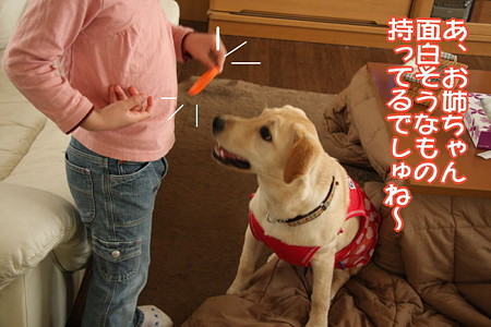 面白そう