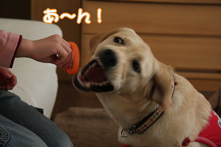 あーん