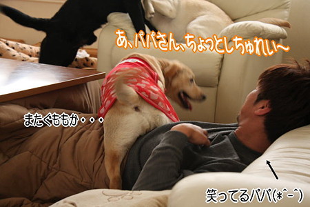しちゅれい