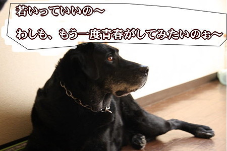 じいさん?!