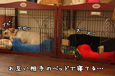 お疲れ様