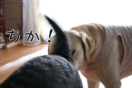 近!