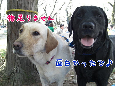 無事確保