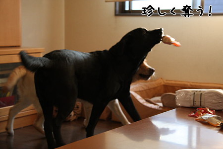 奪えたんや!