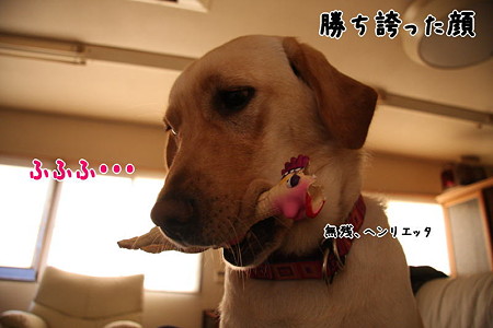 勝った