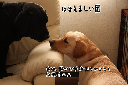 ほほえましい