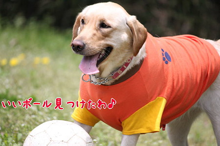 happy♪