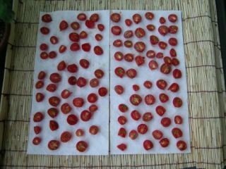 ミニトマトを干しているところ