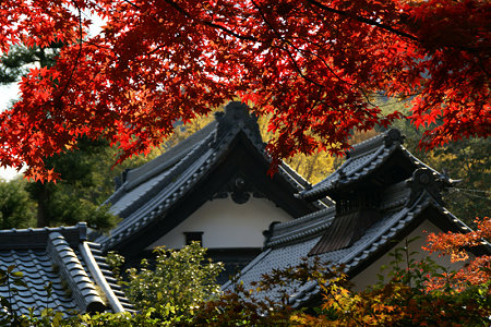 紅葉の光明寺1128f