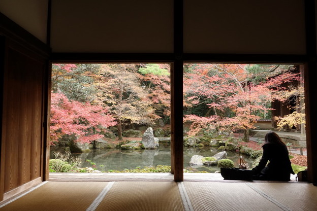 晩秋の蓮華寺2015