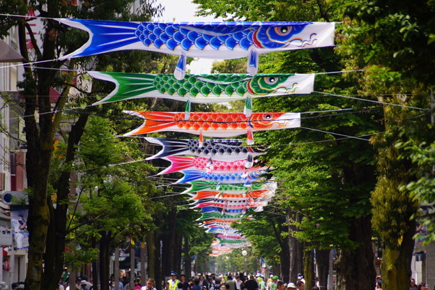 横浜のこいのぼりa 写真共有サイト フォト蔵