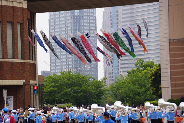 5月 鯉のぼり が泳ぐ 横浜 鎌倉 逗子 横浜 ぶらり散歩 わびすけ