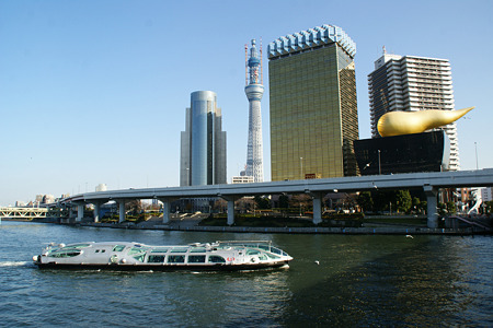 東京スカイツリー建設中!(20101218)