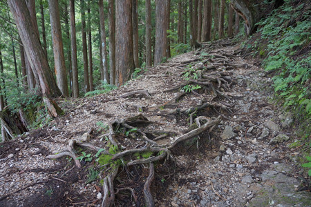 大峯山 - 01