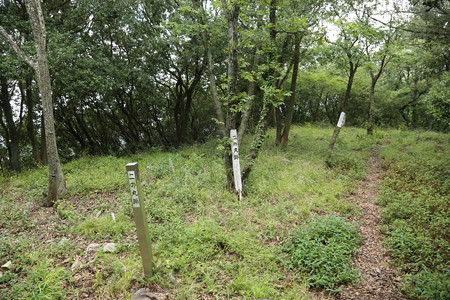 天霧城 ｰ 12