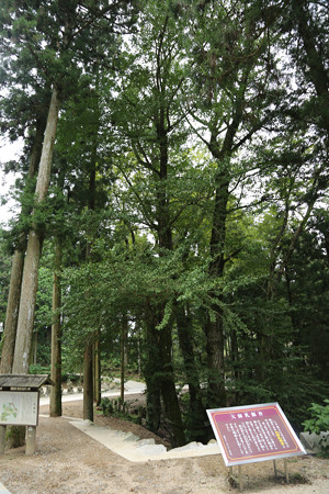 雲辺寺 ｰ 09