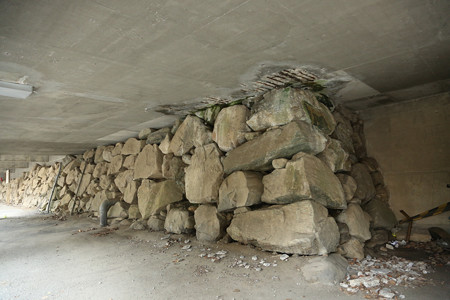 大西城〔池田大西城〕 ｰ 03