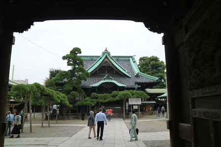 柴又帝釈天（題経寺） (1)