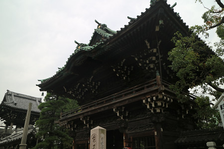 柴又帝釈天（題経寺） (10)