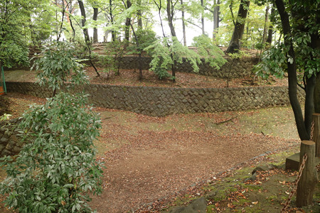 世田谷城 (3)